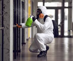 Why You Should Choose Our Mold Remediation Services in Mountain Home, NC